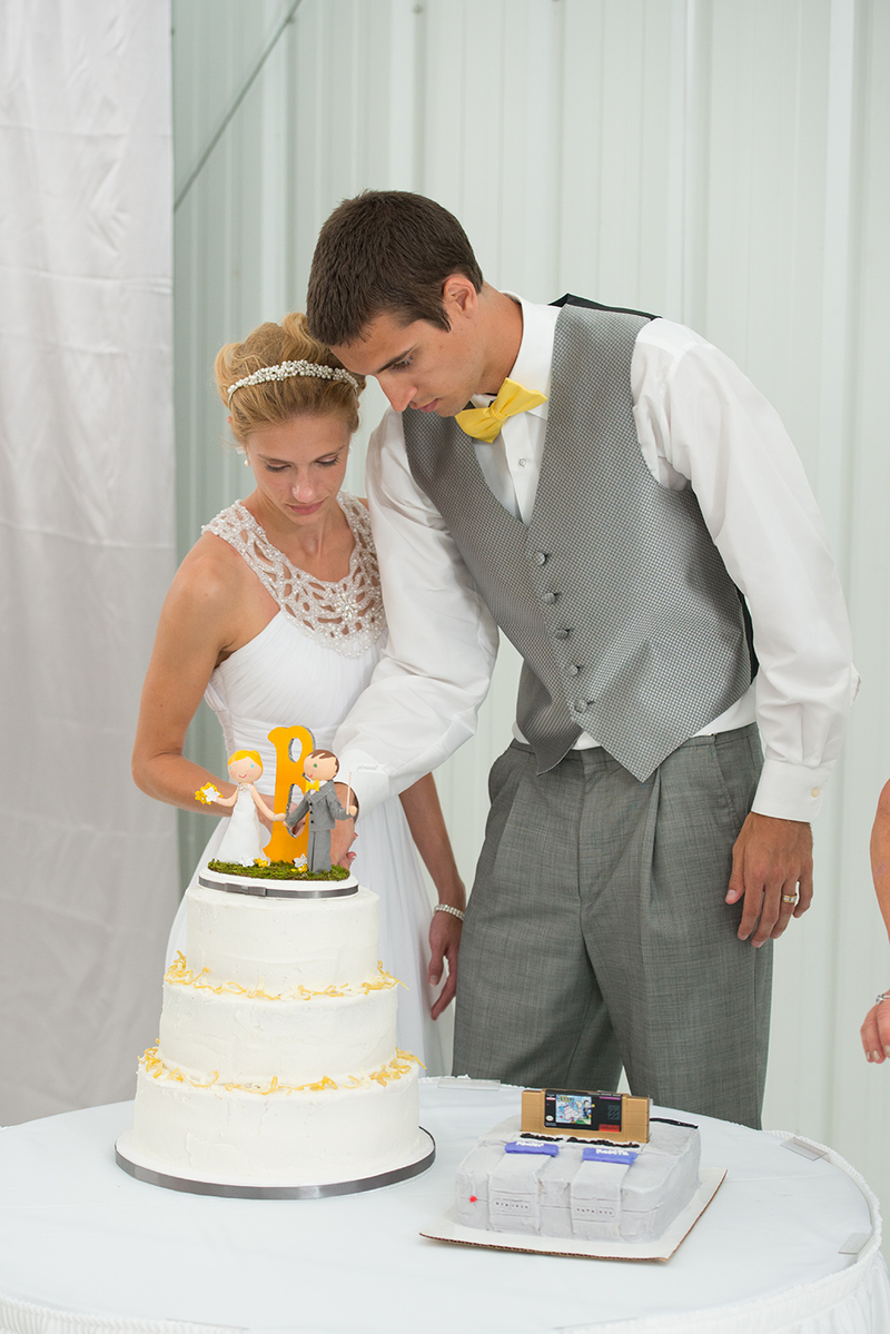 Illustration for article titled Aww, Guys, This Video Game Wedding Was Just Lovely